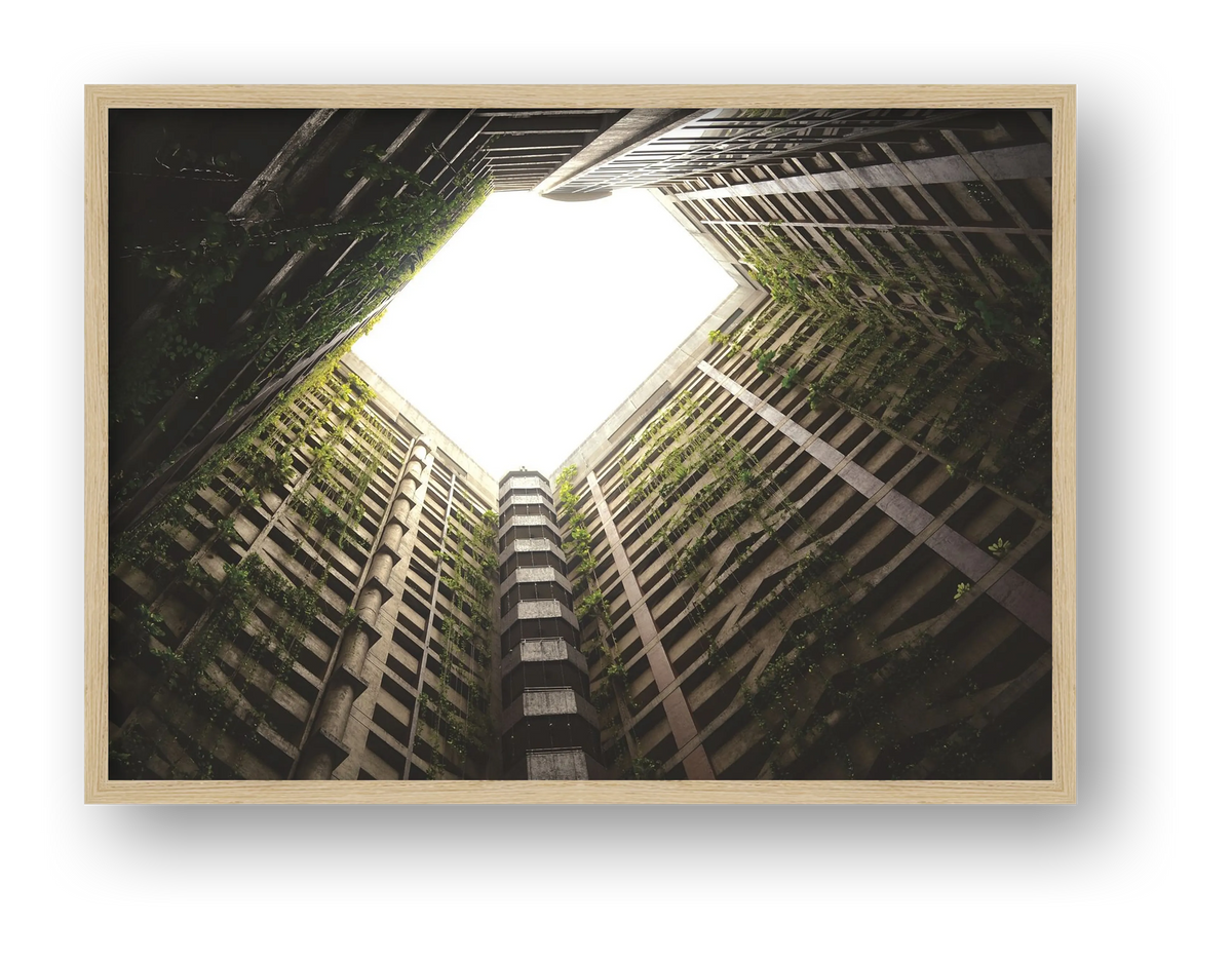 Courtyard — framed
