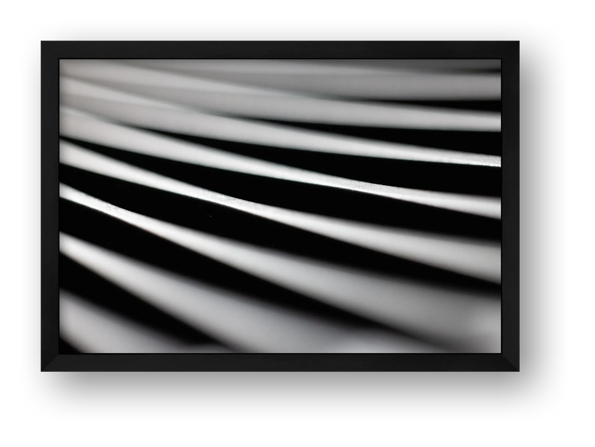 Monochrome Curves — framed
