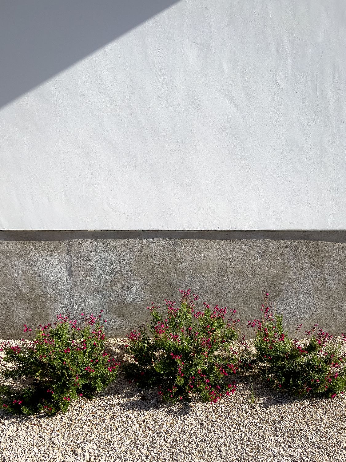 White Wall