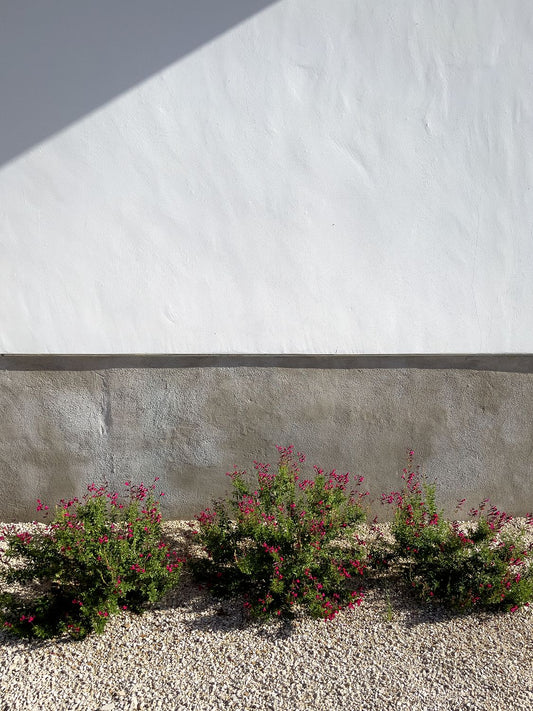 White Wall