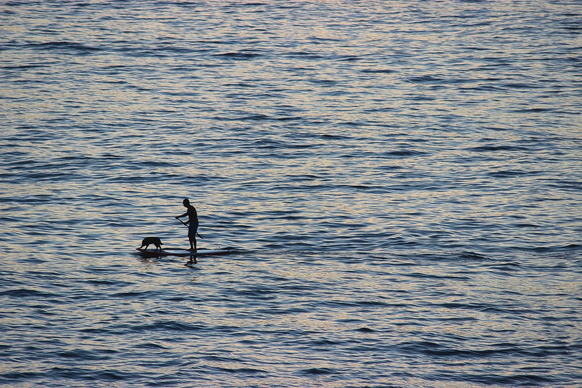Silver Sea